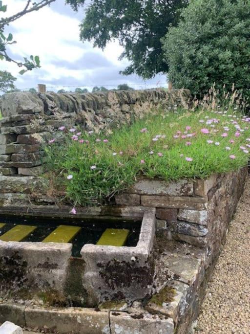 Villa Ivy House Farm, Near Longnor Longnor  Exterior foto